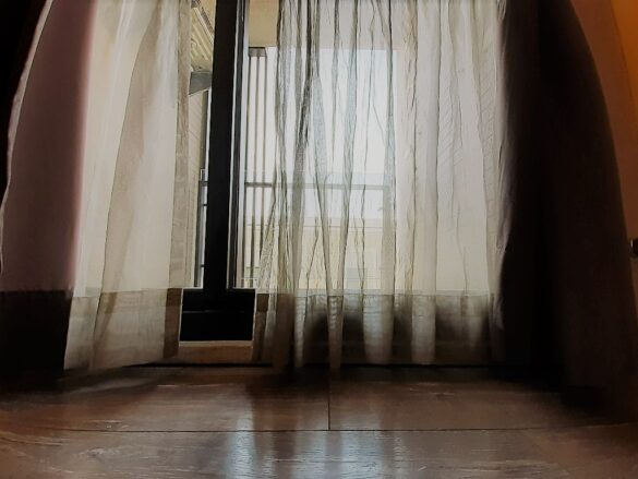 20220319 095118 copy 1024x768