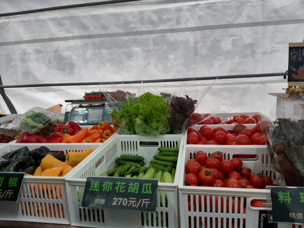 春日好好市集／小農種植的有機蔬菜