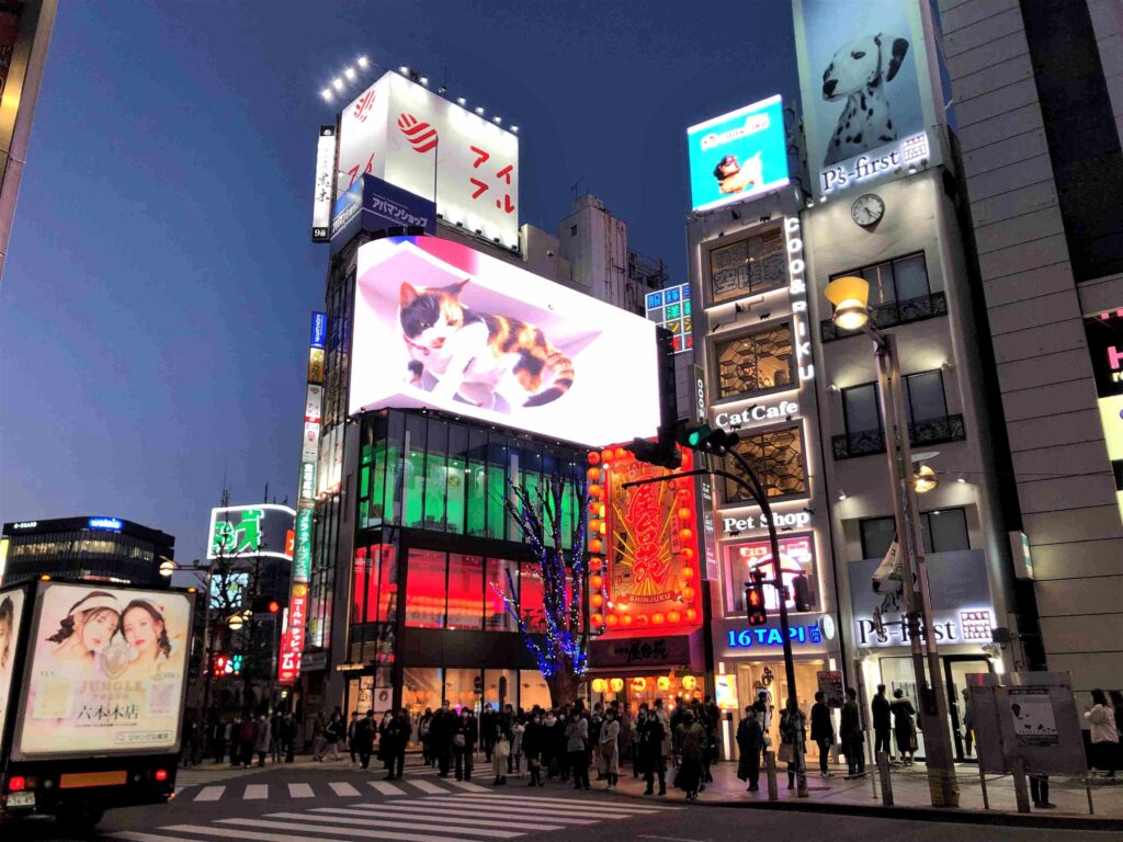 日本擱淺43天︱出發吧!獨旅、Long Stay、長住生活提案︱如何著手安排行程(文長慎入) 20 新宿東口3D貓咪/Photo Credit:逆耳小姐