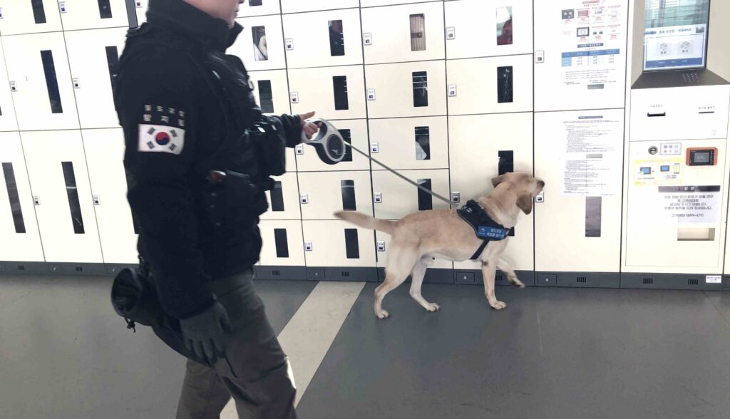 釜山火車站內警察帶著警犬巡邏／Photo Credit：逆耳小姐